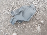 3TYSZ5AN1NT****** Wrecked 2022 Toyota Tacoma in Tennessee State