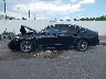 1HGCY1F36RA****** Repairable 2024 Honda Accord in Florida State