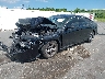 1HGCY1F36RA****** Used and Repairable 2024 Honda Accord in Clearwater