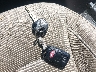 KMHD74LF7HU****** Salvage 2017 Hyundai Elantra in Maryland State