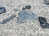2T3F1RFVXNW****** Wrecked 2022 Toyota RAV4 in Indiana State