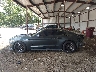 1FA6P8AM5G5****** Salvage 2016 Ford Mustang