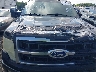 1FTPW14V59F****** Repairable 2009 Ford F-150 in Greenville