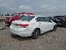1HGCP3F87BA****** Salvage and Wrecked 2011 Honda Accord in Arkansas State