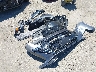 3N1CN8DV1RL****** Wrecked 2024 Nissan Versa in California State