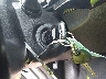 5XYKTDA72FG****** Salvamento 2015 Kia Sorento en Estado de Ohio