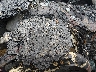 5NPEB4AC8EH****** Salvamento 2014 Hyundai Sonata en Minneapolis South