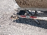 5MC51542X4P****** Usados y Reparables 2004 Manac Manac en Estado de Texas