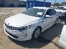 5XXGU4L30GG****** Used and Repairable 2016 Kia Optima in North Hollywood