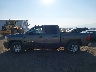 3GCPCSE05BG****** Reparables 2011 Chevrolet Silverado 1500 en Estado de Washington