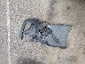 5XXG14J23MG****** Wrecked 2021 Kia K5 in Tennessee State