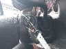 1GCEK29009Z****** Salvamento 2009 Chevrolet Silverado 1500 en Estado de Indiana