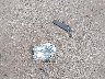 1FMCU0GD6HU****** Wrecked 2017 Ford Escape in Ohio State