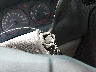 1GMDU23E92D****** Salvamento 2002 Pontiac Montana en Estado de Ohio