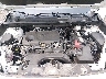 2T3P1RFV5MC****** Reparables 2021 Toyota RAV4 en Columbus
