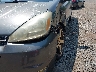 5TDZA23C55S****** Salvamento y Reparables 2005 Toyota Sienna en Estado de Nueva Jersey