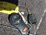 1B4HS28N61F****** Salvage 2001 Dodge Durango in Texas State