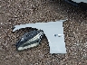 WBAYA8C51FD****** Wrecked 2015 BMW Alpina B7 in Texas State
