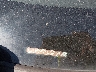 19UDE2F87LA****** Reparables 2020 Acura ILX