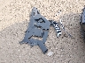 JTHBJ46G992****** Wrecked 2009 Lexus ES in Virginia State