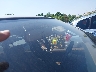 JT3HN86RXV0****** Usados 1997 Toyota 4Runner