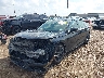 2HGFE2F5XRH****** Used and Repairable 2024 Honda Civic in Corpus Christi