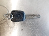MLHRC7411E5****** Salvamento 2014 Honda CBR650F en Estado de Nevada