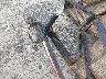 22889911116****** Reparables 2018 Utility Trailer Manufacturer 7x20 en Atlanta South