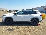 2T3G1RFV8LW****** Salvamento 2020 Toyota RAV4