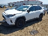 2T3G1RFV8LW****** Usados y Reparables 2020 Toyota RAV4 en Spokane