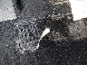 5TDKDRBH0SS****** Salvage and Repairable 2025 Toyota Highlander in Connecticut State