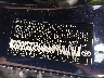 5YFEPRAE4LP****** Used 2020 Toyota Corolla in Raleigh