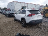2T3H1RFV6MC****** Salvage 2021 Toyota RAV4
