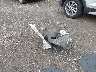 1G1ZB5ST9JF****** Wrecked 2018 Chevrolet Malibu in New York State