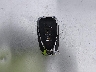 1G1ZE5SX1LF****** Salvage 2020 Chevrolet Malibu in Kansas State
