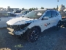 1FMCU0E12PU****** Usados y Reparables 2023 Ford Escape en East Bay
