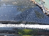 1GNEK13R1TJ****** Salvamento y Reparables 1996 Chevrolet Tahoe en Estado de Maryland