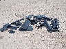 JTEABFAJ4SK****** Destrozados 2025 Toyota Land Cruiser en Estado de Texas