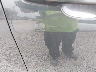 2GNAXUEV1K6****** Salvage and Repairable 2019 Chevrolet Equinox in Columbus