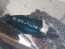 2GNAXUEV7L6****** Used 2020 Chevrolet Equinox in Flint