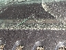 3GNEC16Z44G****** Used 2004 Chevrolet Suburban in Austin