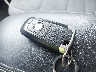 1FMCU0G65MU****** Salvage 2021 Ford Escape in Florida State