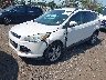 1FMCU9HX6DU****** Usados y Reparables 2013 Ford Escape en Avenel New Jersey