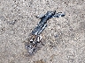 JA4AP3AU0JU****** Wrecked 2018 Mitsubishi Outlander in Mississippi State
