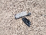 1HGCR2F34FA****** Wrecked 2015 Honda Accord in Texas State
