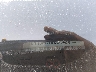 1C4RJECT0EC****** Usados 2014 Jeep Grand Cherokee en Baton Rouge