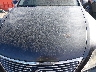 JTHGL46F775****** Repairable 2007 Lexus LS in Denver East