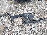 4S4BTALCXS3****** Wrecked 2025 Subaru Outback in Missouri State