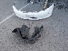 19XFB2F58CE****** Wrecked 2012 Honda Civic in California State