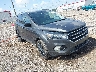 1FMCU0GDXKU****** Salvage and Wrecked 2019 Ford Escape in Lafayette